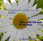 sortie dessin nature 2014