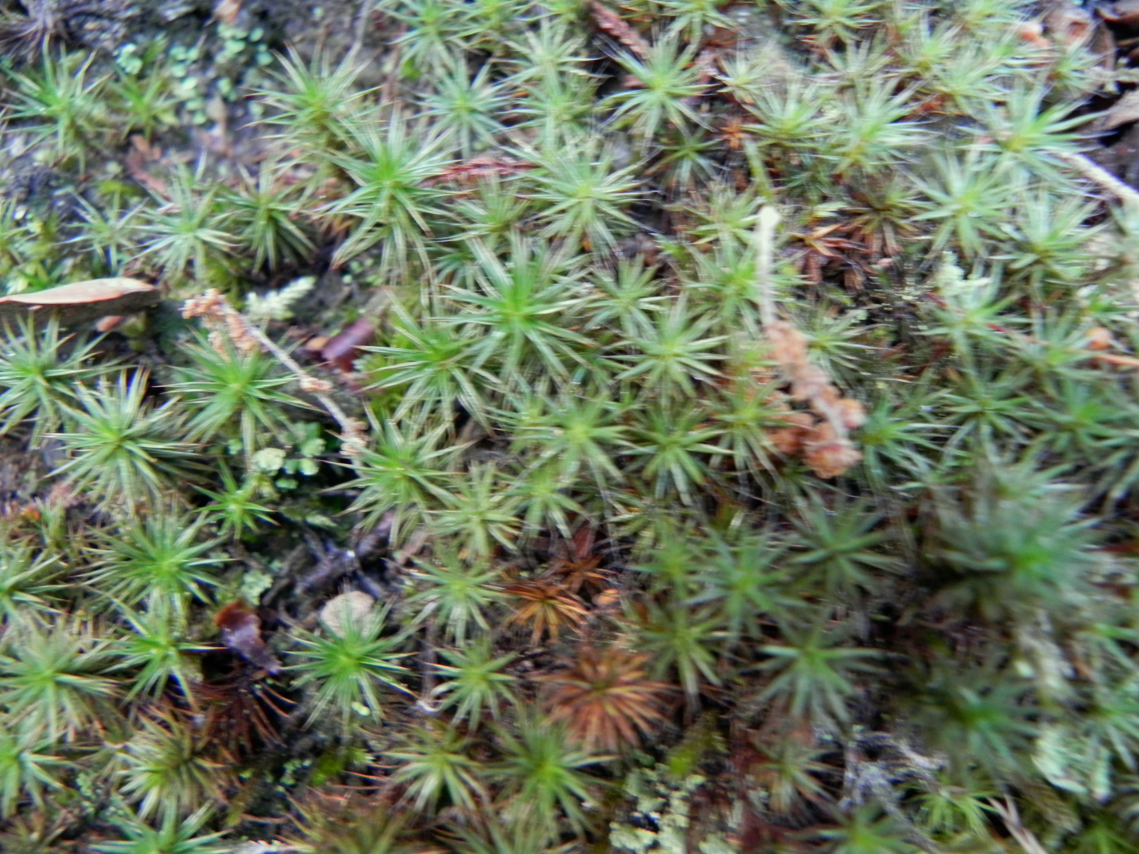 DSCN8309.JPG