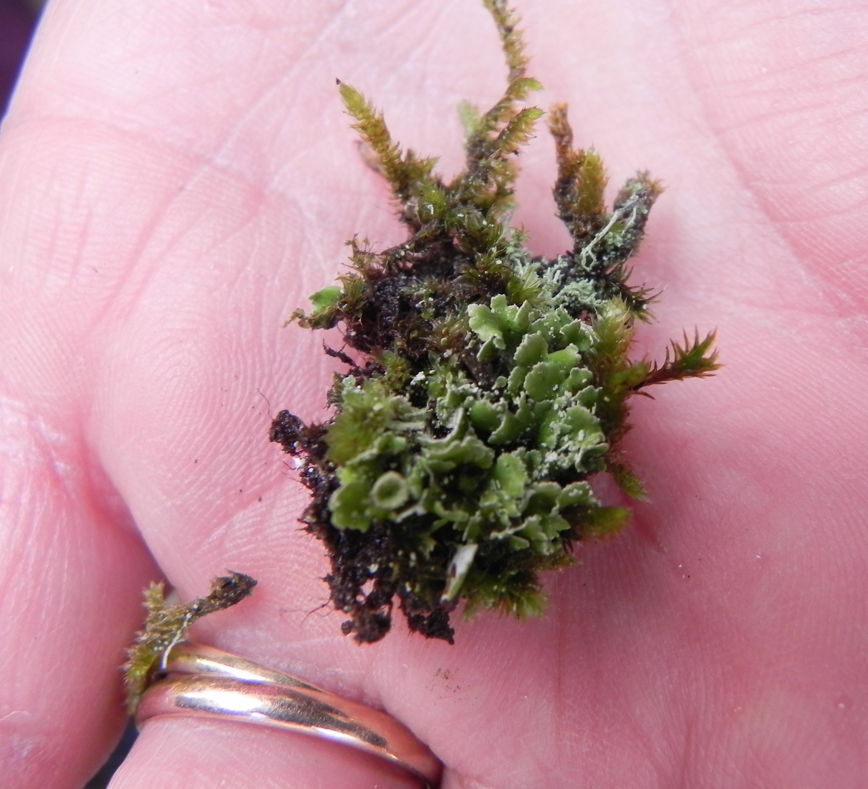 DSCN8310.JPG