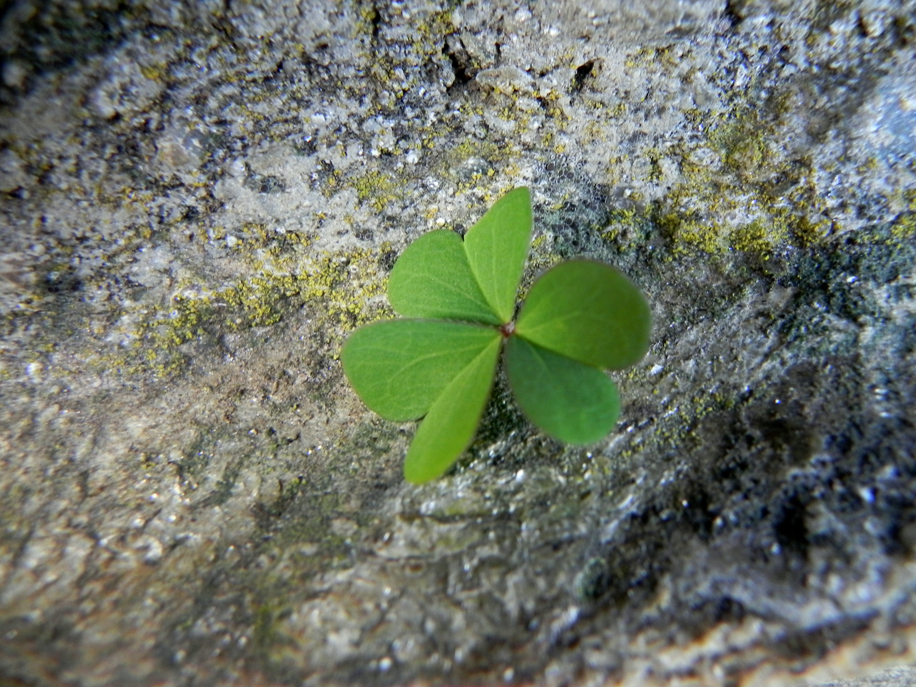 DSCN8314.JPG