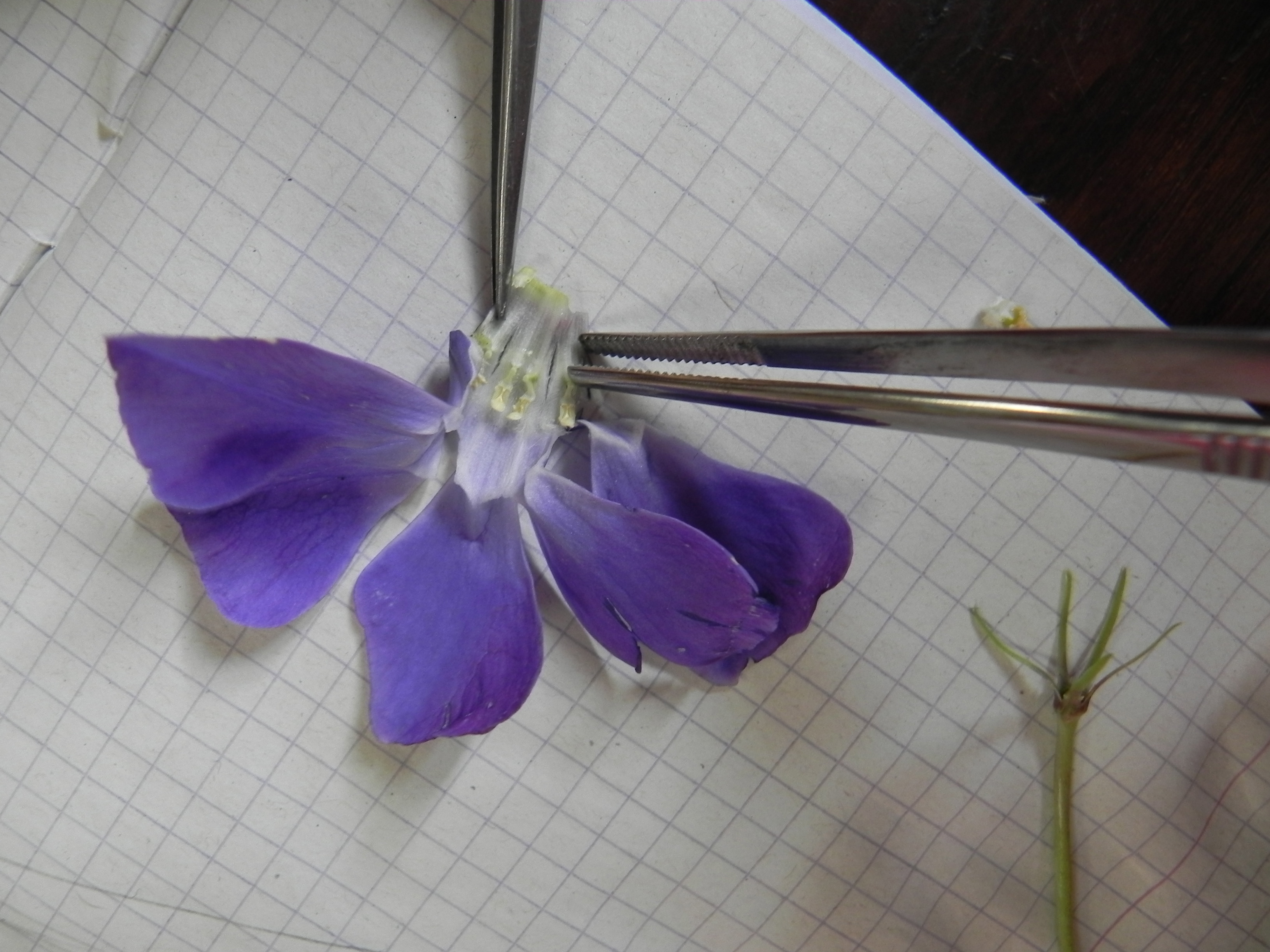 DSCN8547