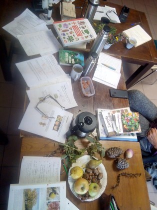 IMG_20191122_111415_4_(Large)[1]