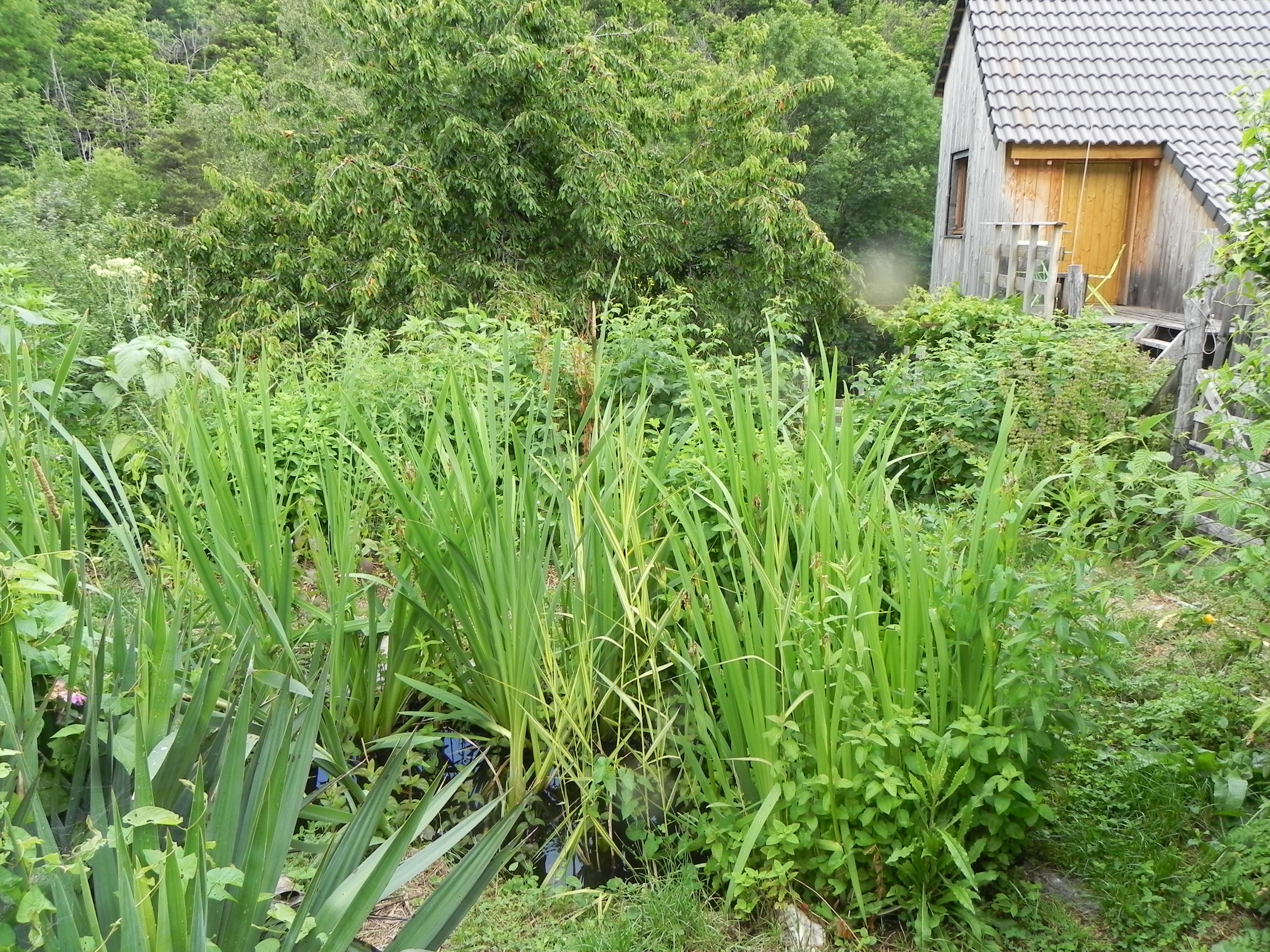 DSCN0146